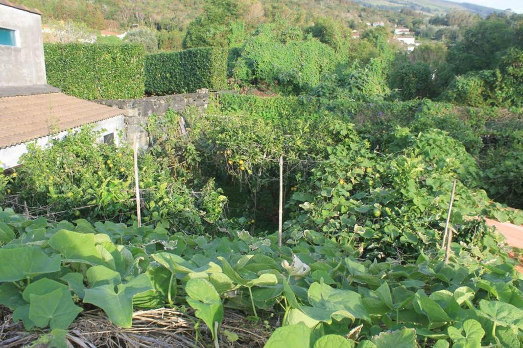 Quinta Do Areeiro Apartamento Horta  Exterior foto